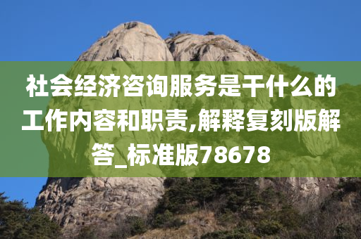 社会经济咨询服务是干什么的工作内容和职责,解释复刻版解答_标准版78678