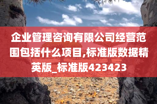 企业管理咨询有限公司经营范围包括什么项目,标准版数据精英版_标准版423423