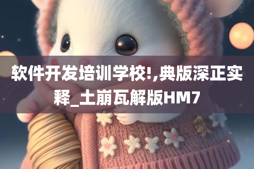 软件开发培训学校!,典版深正实释_土崩瓦解版HM7