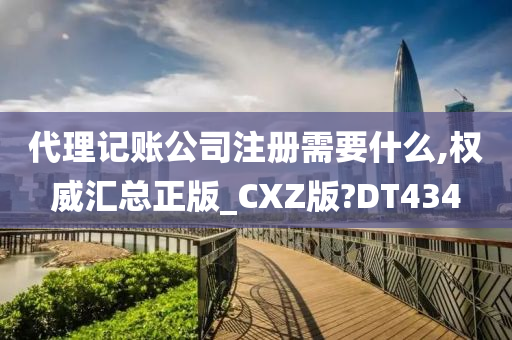 代理记账公司注册需要什么,权威汇总正版_CXZ版?DT434