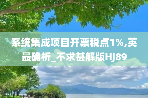 系统集成项目开票税点1%,英最确析_不求甚解版HJ89