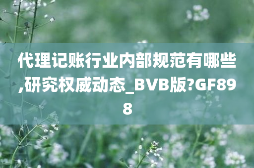 代理记账行业内部规范有哪些,研究权威动态_BVB版?GF898