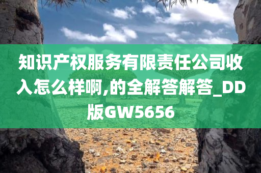 知识产权服务有限责任公司收入怎么样啊,的全解答解答_DD版GW5656