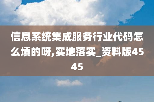 信息系统集成服务行业代码怎么填的呀,实地落实_资料版4545