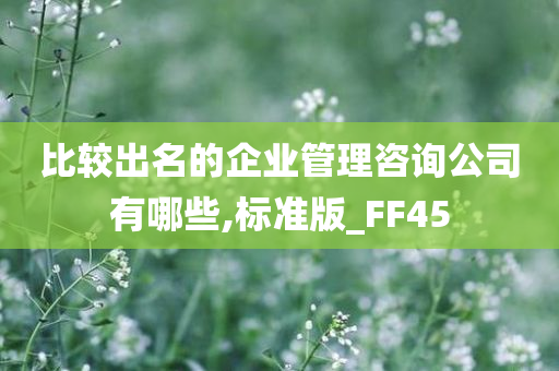 比较出名的企业管理咨询公司有哪些,标准版_FF45