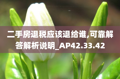 二手房退税应该退给谁,可靠解答解析说明_AP42.33.42