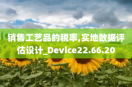 销售工艺品的税率,实地数据评估设计_Device22.66.20