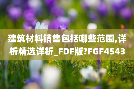 建筑材料销售包括哪些范围,详析精选详析_FDF版?FGF4543