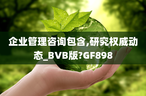 企业管理咨询包含,研究权威动态_BVB版?GF898