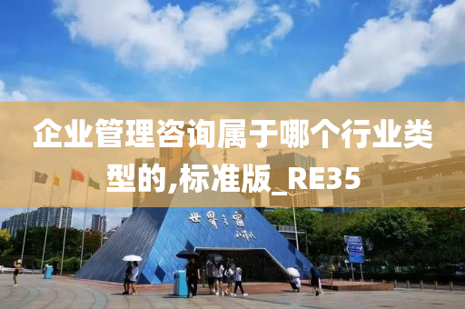 企业管理咨询属于哪个行业类型的,标准版_RE35