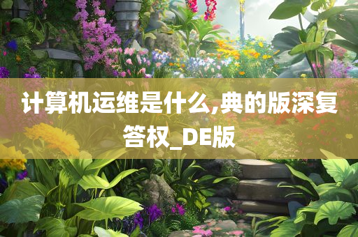 计算机运维是什么,典的版深复答权_DE版