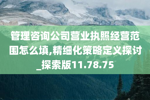 管理咨询公司营业执照经营范围怎么填,精细化策略定义探讨_探索版11.78.75