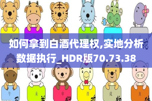 如何拿到白酒代理权,实地分析数据执行_HDR版70.73.38