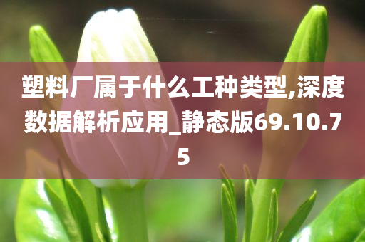 塑料厂属于什么工种类型,深度数据解析应用_静态版69.10.75