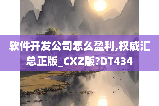 软件开发公司怎么盈利,权威汇总正版_CXZ版?DT434