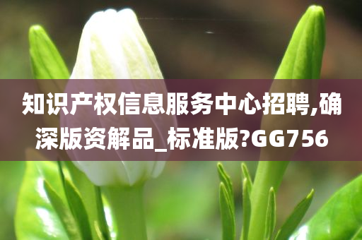 知识产权信息服务中心招聘,确深版资解品_标准版?GG756