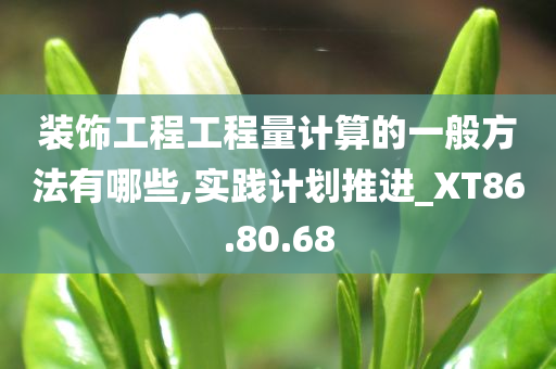 装饰工程工程量计算的一般方法有哪些,实践计划推进_XT86.80.68