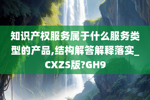 知识产权服务属于什么服务类型的产品,结构解答解释落实_CXZS版?GH9