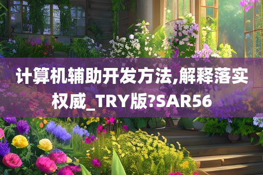 计算机辅助开发方法,解释落实权威_TRY版?SAR56