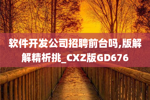 软件开发公司招聘前台吗,版解解精析挑_CXZ版GD676