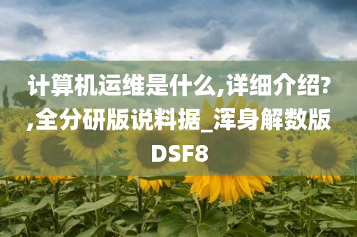 计算机运维是什么,详细介绍?,全分研版说料据_浑身解数版DSF8