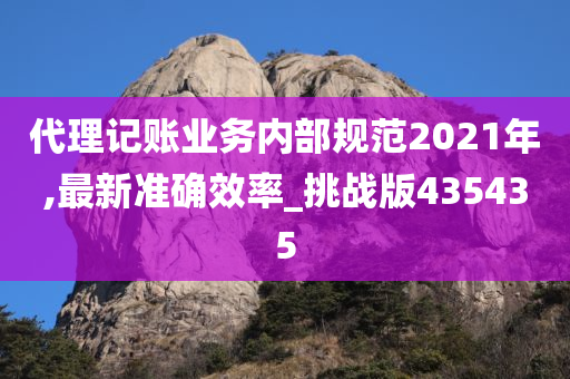 代理记账业务内部规范2021年,最新准确效率_挑战版435435