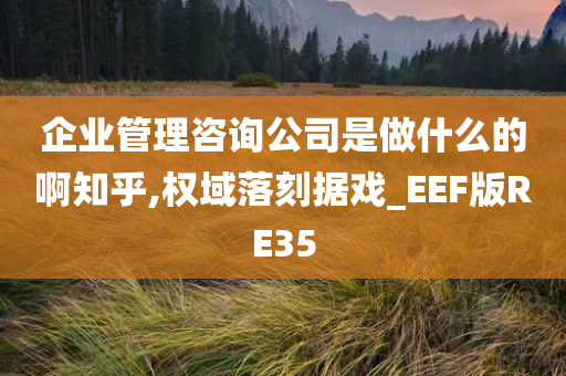 企业管理咨询公司是做什么的啊知乎,权域落刻据戏_EEF版RE35