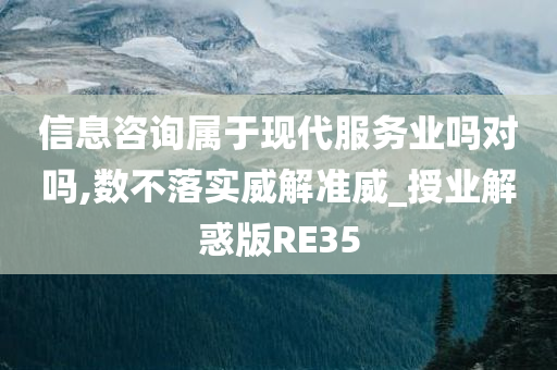 信息咨询属于现代服务业吗对吗,数不落实威解准威_授业解惑版RE35