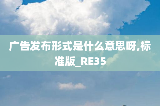 广告发布形式是什么意思呀,标准版_RE35