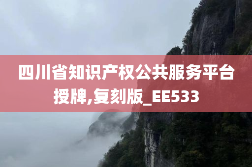 四川省知识产权公共服务平台授牌,复刻版_EE533