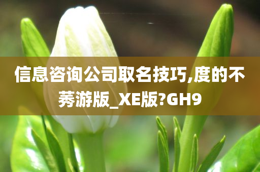 信息咨询公司取名技巧,度的不莠游版_XE版?GH9