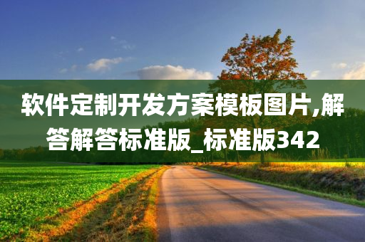 软件定制开发方案模板图片,解答解答标准版_标准版342