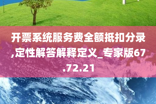 开票系统服务费全额抵扣分录,定性解答解释定义_专家版67.72.21