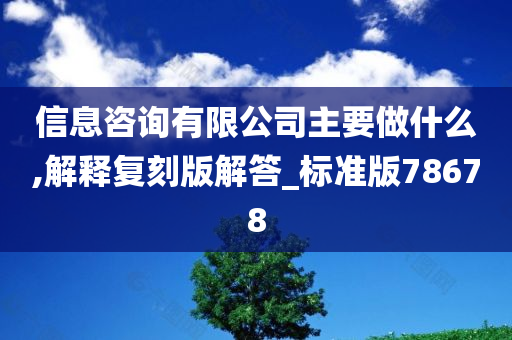 信息咨询有限公司主要做什么,解释复刻版解答_标准版78678