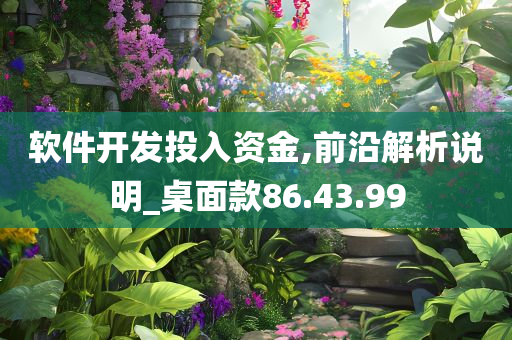 软件开发投入资金,前沿解析说明_桌面款86.43.99