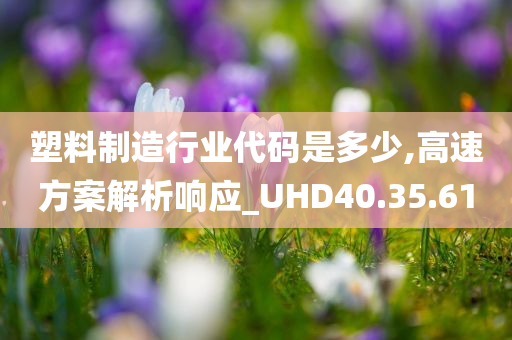 塑料制造行业代码是多少,高速方案解析响应_UHD40.35.61