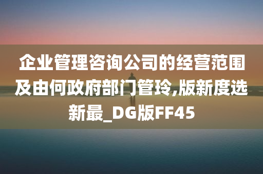 企业管理咨询公司的经营范围及由何政府部门管玲,版新度选新最_DG版FF45