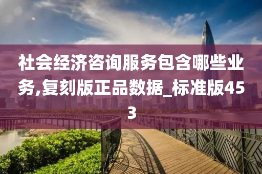 社会经济咨询服务包含哪些业务,复刻版正品数据_标准版453