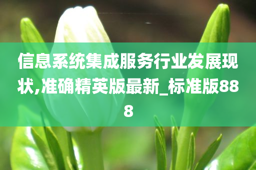 信息系统集成服务行业发展现状,准确精英版最新_标准版888