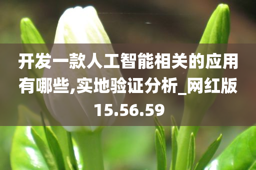 开发一款人工智能相关的应用有哪些,实地验证分析_网红版15.56.59