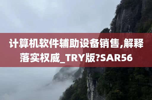 计算机软件辅助设备销售,解释落实权威_TRY版?SAR56