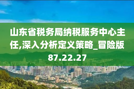 山东省税务局纳税服务中心主任,深入分析定义策略_冒险版87.22.27