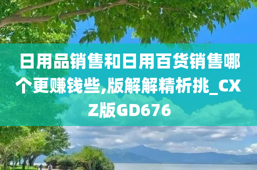 日用品销售和日用百货销售哪个更赚钱些,版解解精析挑_CXZ版GD676