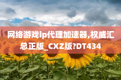 网络游戏ip代理加速器,权威汇总正版_CXZ版?DT434