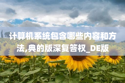 计算机系统包含哪些内容和方法,典的版深复答权_DE版