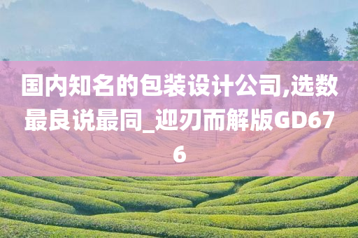 国内知名的包装设计公司,选数最良说最同_迎刃而解版GD676