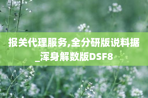 报关代理服务,全分研版说料据_浑身解数版DSF8