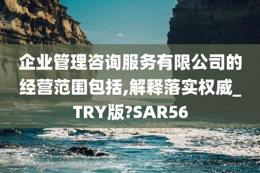 企业管理咨询服务有限公司的经营范围包括,解释落实权威_TRY版?SAR56