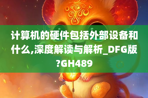 计算机的硬件包括外部设备和什么,深度解读与解析_DFG版?GH489