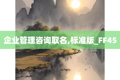 企业管理咨询取名,标准版_FF45